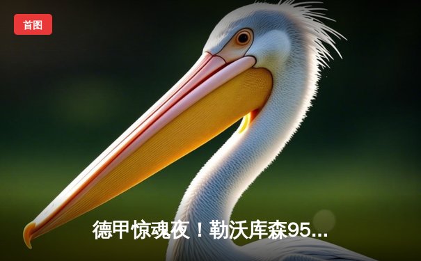 德甲惊魂夜！勒沃库森95分钟绝杀3-2奥格斯堡，跨赛季48场不败创神话